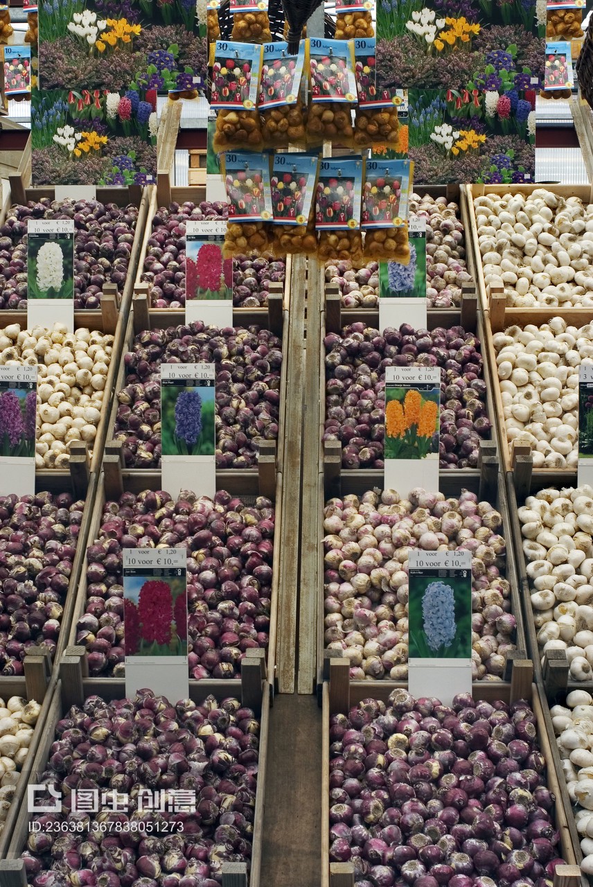 bulbs at Amsterdam flower market